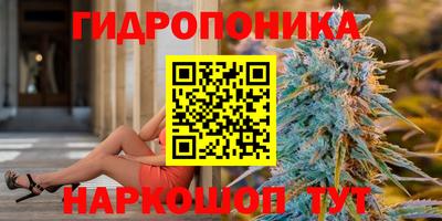 дмт Балахна
