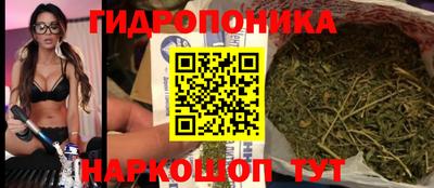 дмт Балахна