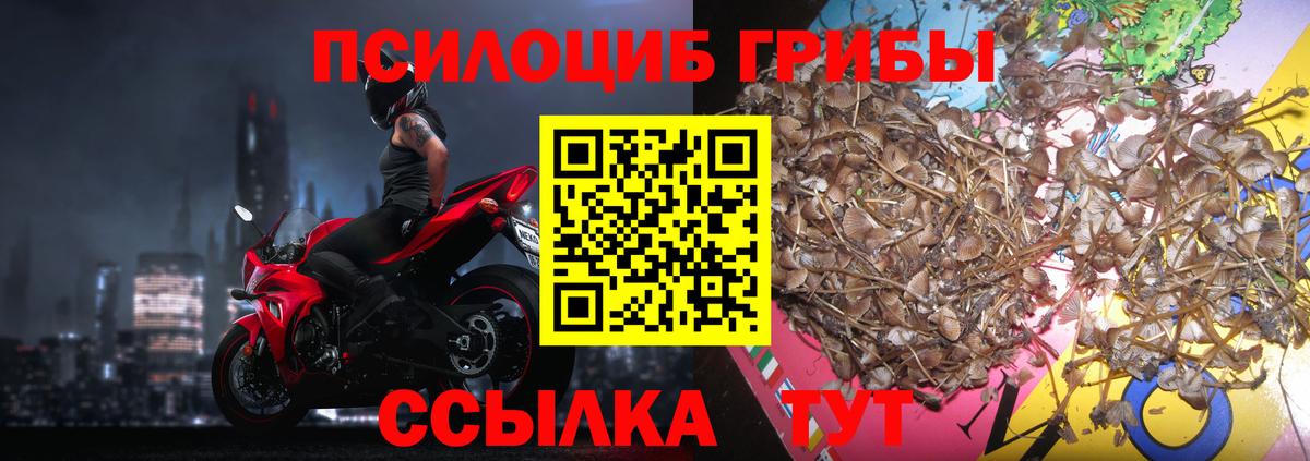 Псилоцибиновые грибы Cubensis  Галлюциногенные грибы GOLDEN TEACHER  Краснотурьинск 