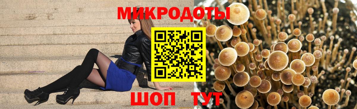 закладка  Псилоцибиновые грибы GOLDEN TEACHER  Краснотурьинск  Вход с VPN  Галлюциногенные грибы MAGIC MUSHROOMS 