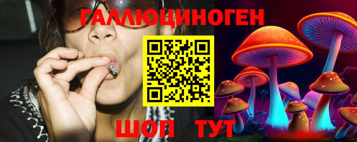 Псилоцибиновые грибы Psilocybine cubensis Краснотурьинск