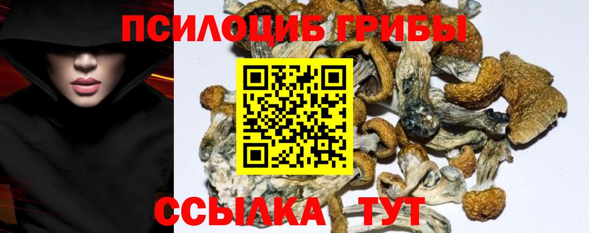 Псилоцибиновые грибы Magic Shrooms Краснотурьинск